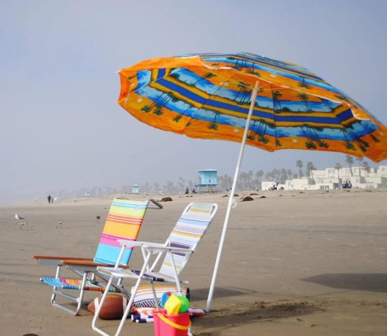The Sunshine Homestay New Smyrna Beach Bagian luar foto